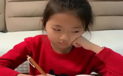 小姐姐写作业会怎么样,效率与魅力的完美融合