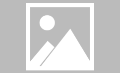 超市猫网红,萌宠魅力征服网友，日常趣事引热议