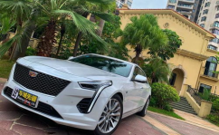 凯迪拉克小姐姐打伞,凯迪拉克小姐姐的浪漫伞下时光